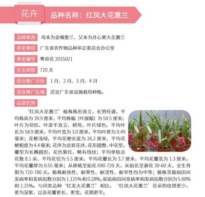 广东花卉用水价格最新,2021年广东花市
