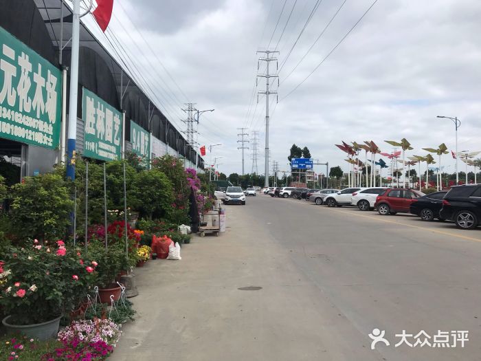 广州花卉之都坐几路车,广州花卉之都有卖花的吗