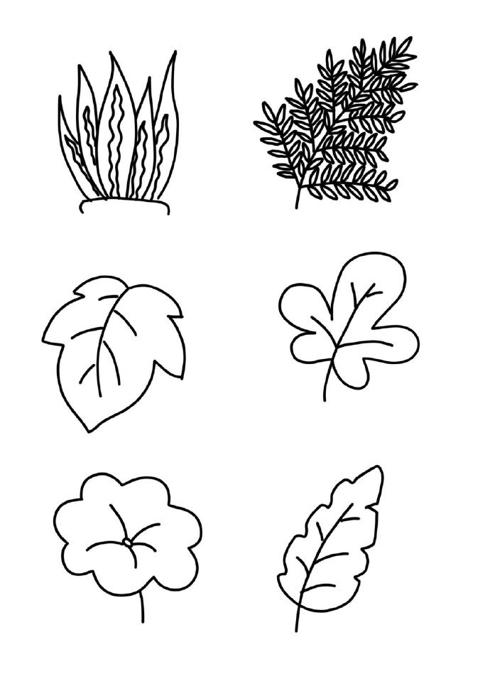 简笔画花卉树叶画法步骤,简单画树叶子