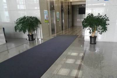 苏州医院植物花卉租赁企业,苏州绿植花卉租摆公司